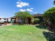 First Time ever to the Market!