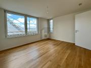 FIRST USE: LARGE BALCONY, VIEW OF THE ÜETLIBERG