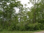 Fisher Rd, Traverse City, Plot For Sale