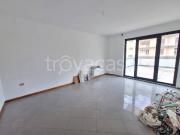 Fittasi bilocale a Benevento via Francesco Flora