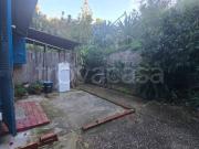 Fittasi bilocale a Lacco Ameno via Pannella