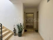 Fittasi quadrilocale a Napoli, Arenella