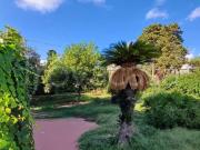 Fittasi villa singola a Napoli, Marechiaro