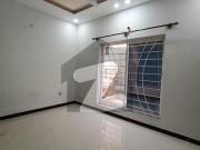 Five maral house available for rent ali block phase 8...