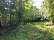 Fivel Rd, Ridgeville, Plot For Sale