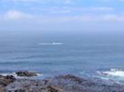 Flat Apartment To Rent in Sea Point, Western Cape