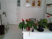 Flat com ótimo preço no bairro Moema. Confira!