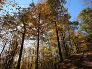 Flat Creek Rd, Frankfort, Farm House For