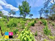 Flat Overlooking Lot for Sale in Maria Luisa Banilad...