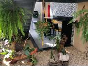 Flat para aluguel com mobilia no Setor Bueno GoiÃ¢nia GO