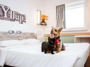 Flat para Venda em Campinas/SP Centro 1 Quartos