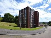 Flat to rent in Ross Road, London SE25