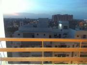 Flate for sell Karachi Rufi Rose Petals ID 23974