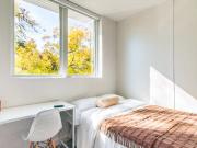 Flex Basic Int Plaza