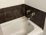 Flex Room Shared Bath B Has an Apartment