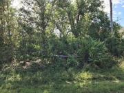 Florence Ave, Port Charlotte, Plot For Sale