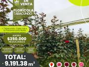 FLORICOLA EN VENTA 9000M2