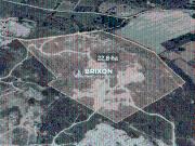 Floridablanca, Pampanga Industrial Lot for Sale – 22.8...