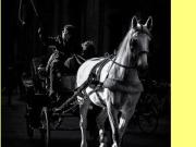 FONDO USO UFFICIO VIA MASACCIO PIAZZA LIBERTA´ 7 vani 100mq