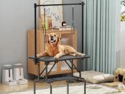 Fonds de Commerce Salon de Toilettage