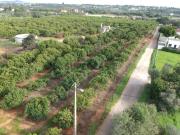 Fonte Santa Terreno de 42,350m2 com Projeto Aprovado...