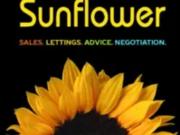 Footscray Social Club, 23 27 Cray Road, London, DA14...