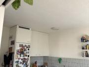 FOR CAT LOVERS IN ZURICH – KREIS 9 ALTSTETTEN,...