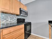 For Lease 154 Nelson Street Unit# 501, Lower Town Sandy...