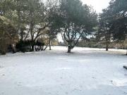 For Lease 17 Fairway Heights Crescent Unit# Bsmt,...