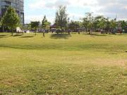 For Lease 17 Michael Power Place Unit# 816, Toronto, Ontario