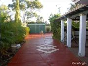 For Lease 20 Grebe Street, Stirling WA