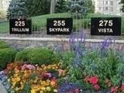 For Lease 225 Bamburgh Circle Unit# 310, Toronto, Ontario