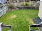 For Lease 226 Parlette Avenue Unit# BSMT, Toronto, Ontario