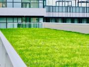 For Lease 251 Manitoba Street Unit# 305, Toronto, Ontario