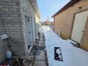 For Lease 30 Wexford Road Unit# Bsmt, Brampton, Ontario