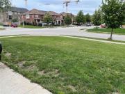 For Lease 56 Palleschi Drive, Brampton, Ontario
