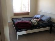 For Lease 6 Baffin Crescent, Brampton, Ontario