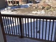 For Lease 77 Aspen Hill Road, Brampton, Ontario