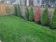 For Lease 9334 Shoveller Drive, Niagara Falls, Ontario