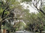 FOR LEASE Furnished House and Lot in Dasmarinas Village,...