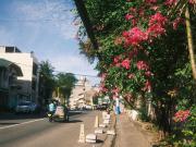 FOR LEASE House and Lot in Kapitolyo, Pasig City