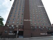 For rent: 1011 Lansdowne Ave Toronto, 2 bdrm Viewit |233060