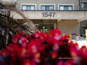 For rent: 1547 Mississauga Vall Mississauga, 1 bdrm...