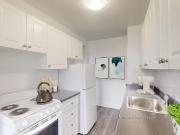 For rent: 166 Carlton Toronto, Bach Viewit |1174