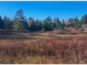 Cozy 1.3 Acres Route 113, Miscou, NB, E8T 1C7 vacant...