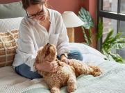 Cheap 1 BA 1 bedroom apartment for rent in Pitsford...