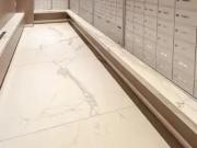 For Rent 1 Bedroom Apartment Burlington ON DS94866875