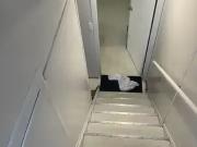 For Rent 1 Bedroom Apartment Calgary AB DS100330315