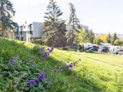 For Rent 1 Bedroom Apartment Calgary AB DS81661038