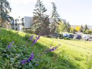 For Rent 1 Bedroom Apartment Calgary AB DS94120609